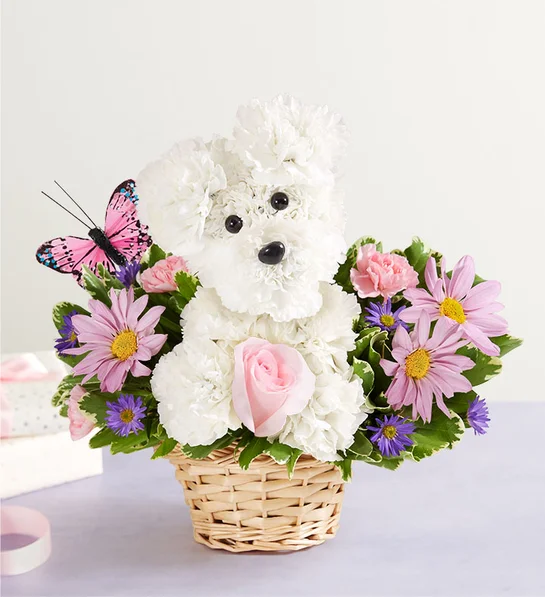 Precious Pup™ - Send to Bridgeport, CT Today!