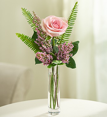 Love's Embrace™ Roses - Pink