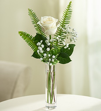 Love's Embrace™ Roses – White