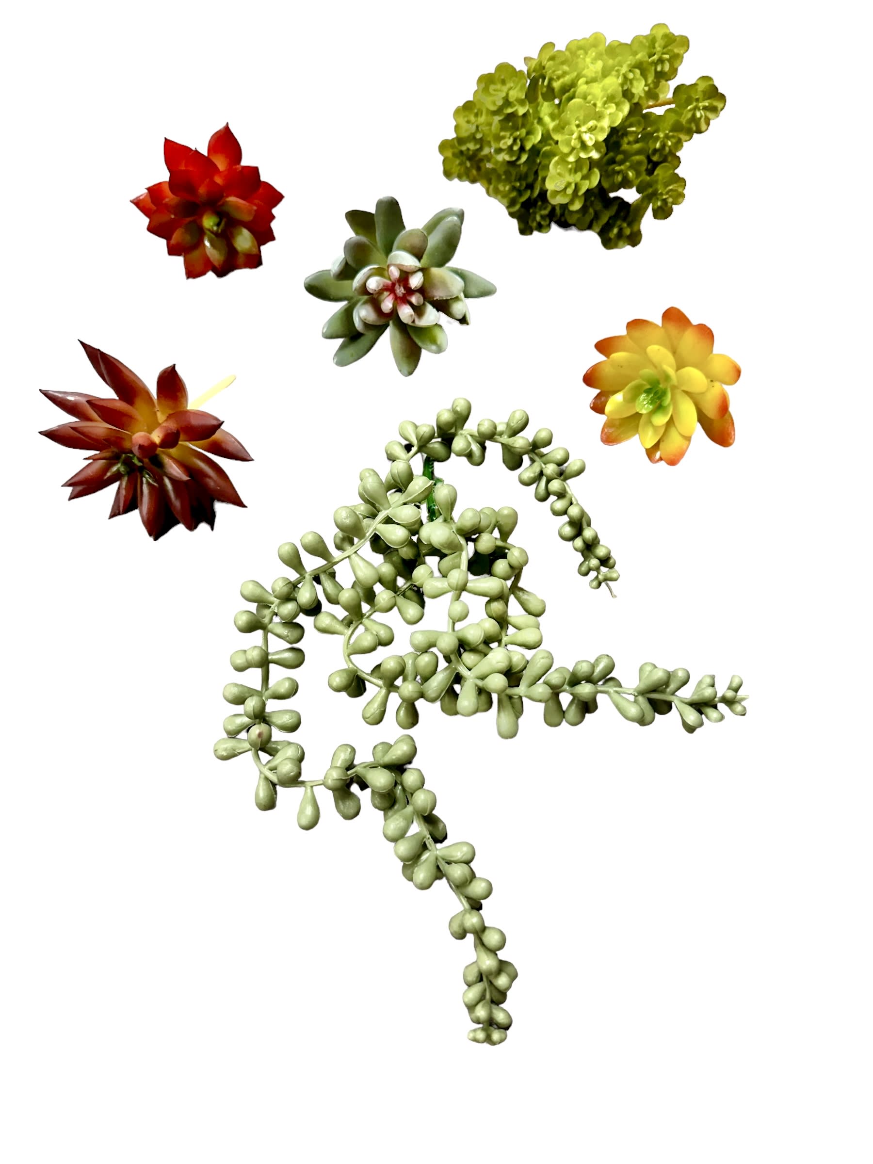 Faux Succulent Assortment Flower Delivery Kokomo IN - Banner Flower House