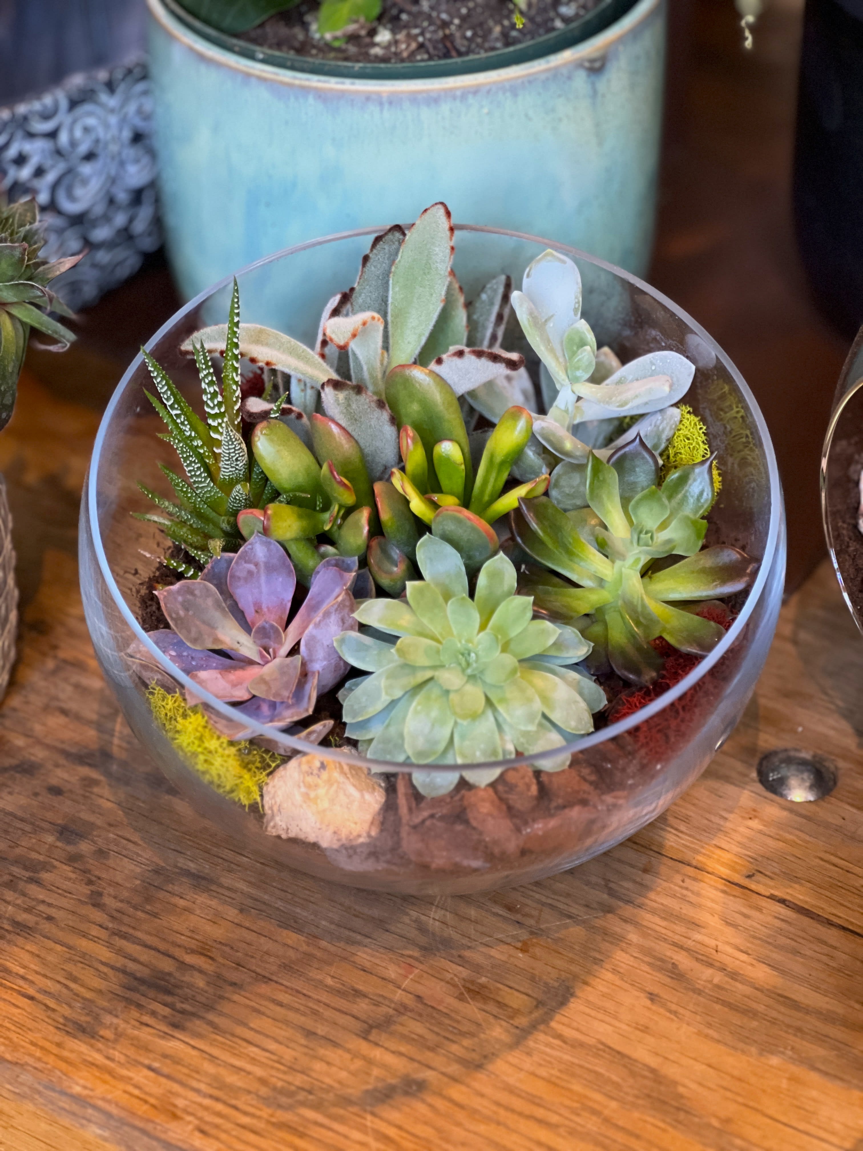 Succulent Glass Terrarium