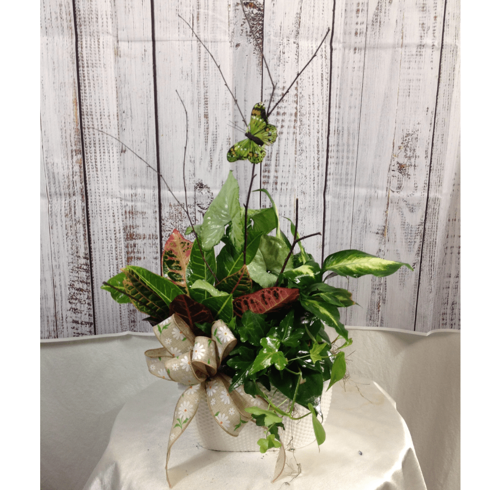 White Ceramic Garden