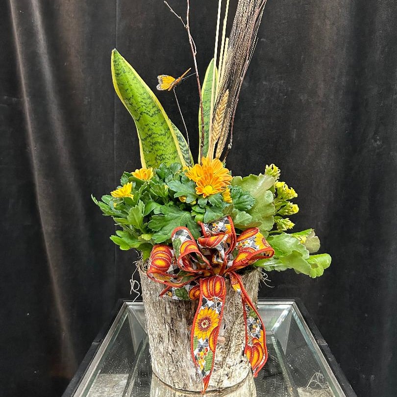 TCG's Fall Planter Flower Delivery Geneva IL Town & Country Gardens