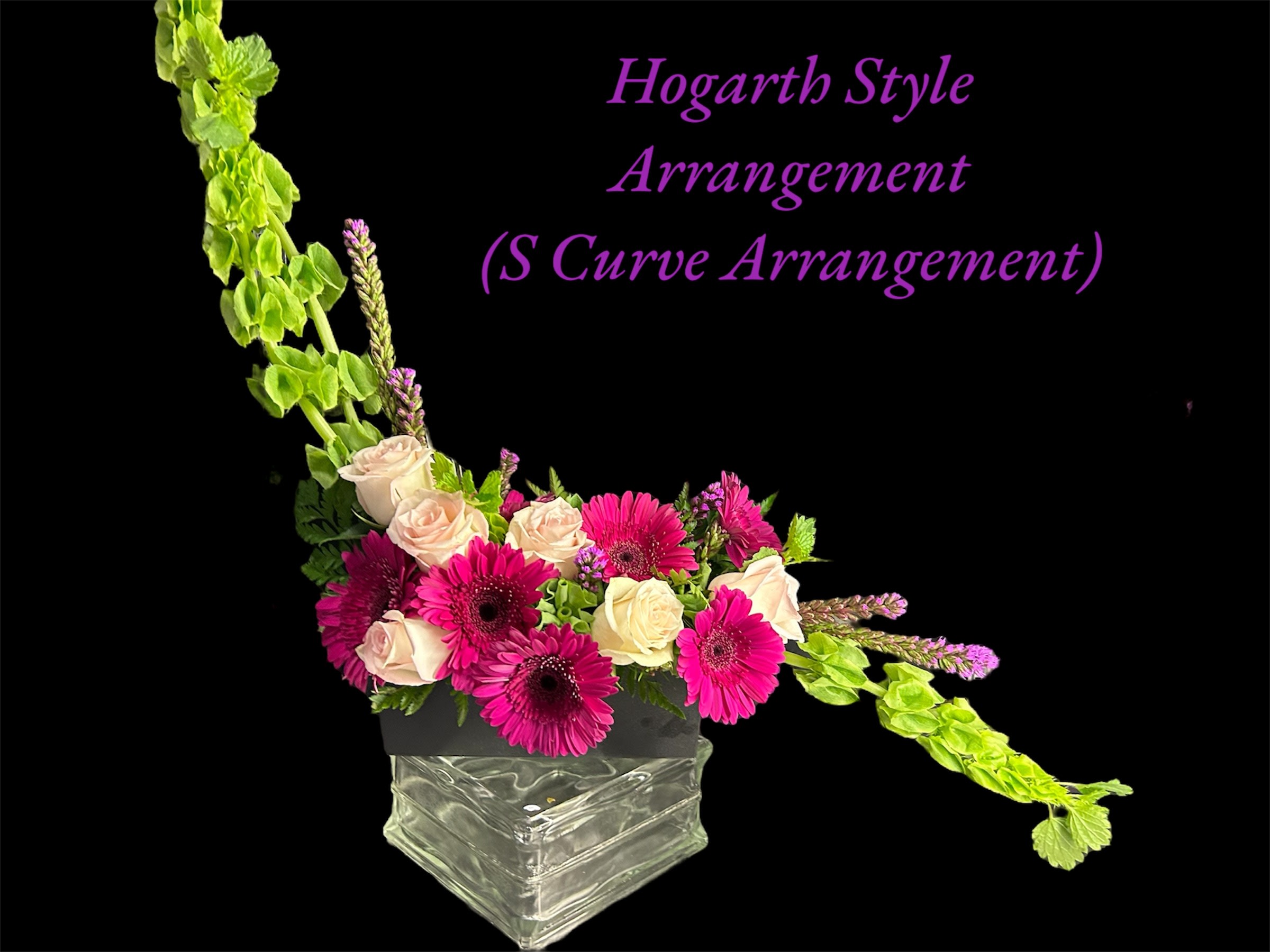 Hogarth Style Arrangement (S Curve Arrangement)