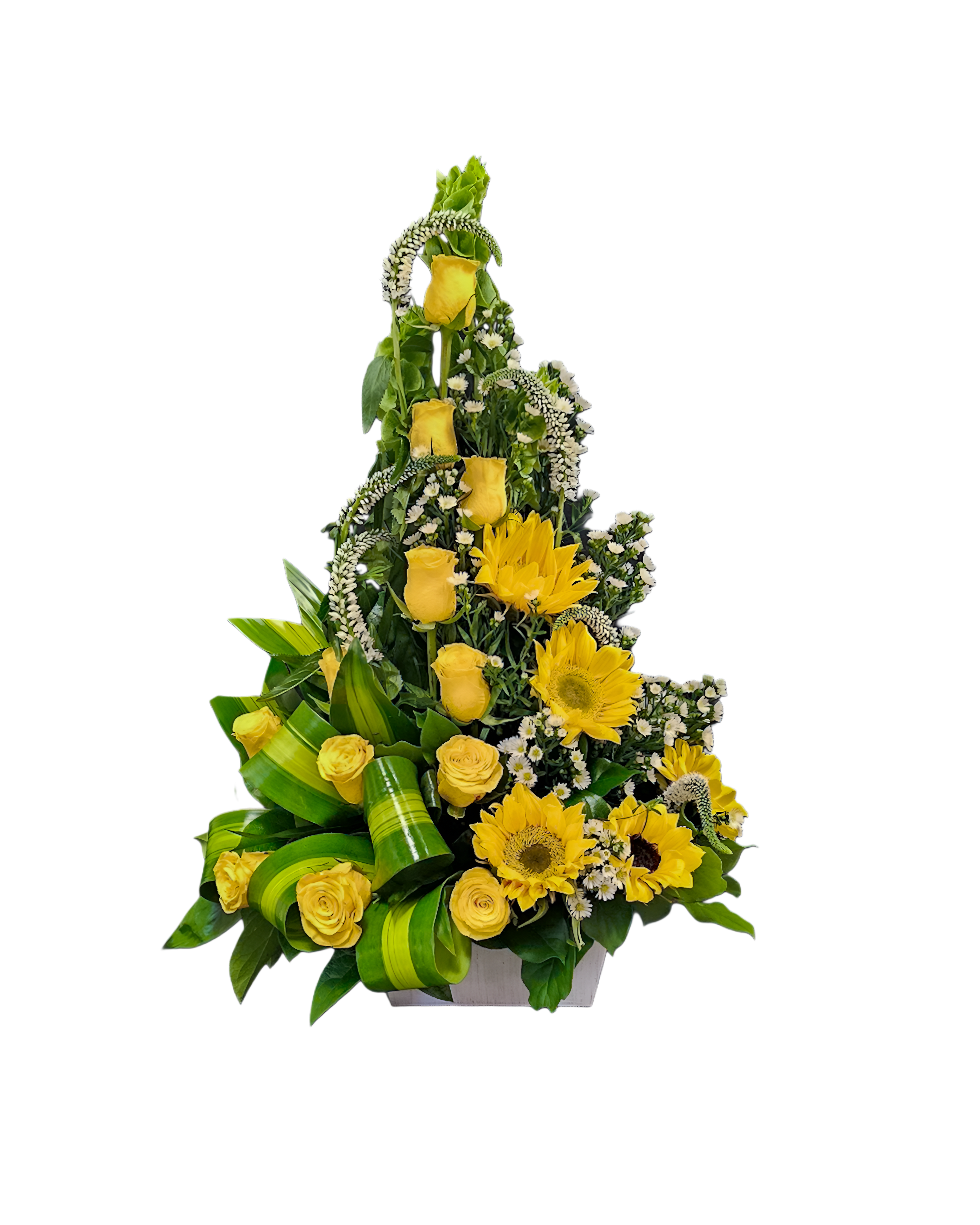 Flores Amarillas, image size:3278x4096