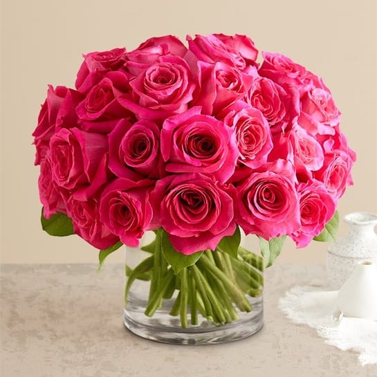 Pink Roses Netflorist Contemporary Hot Pink Roses Flower Delivery Bridgeport CT - Fruits and ...