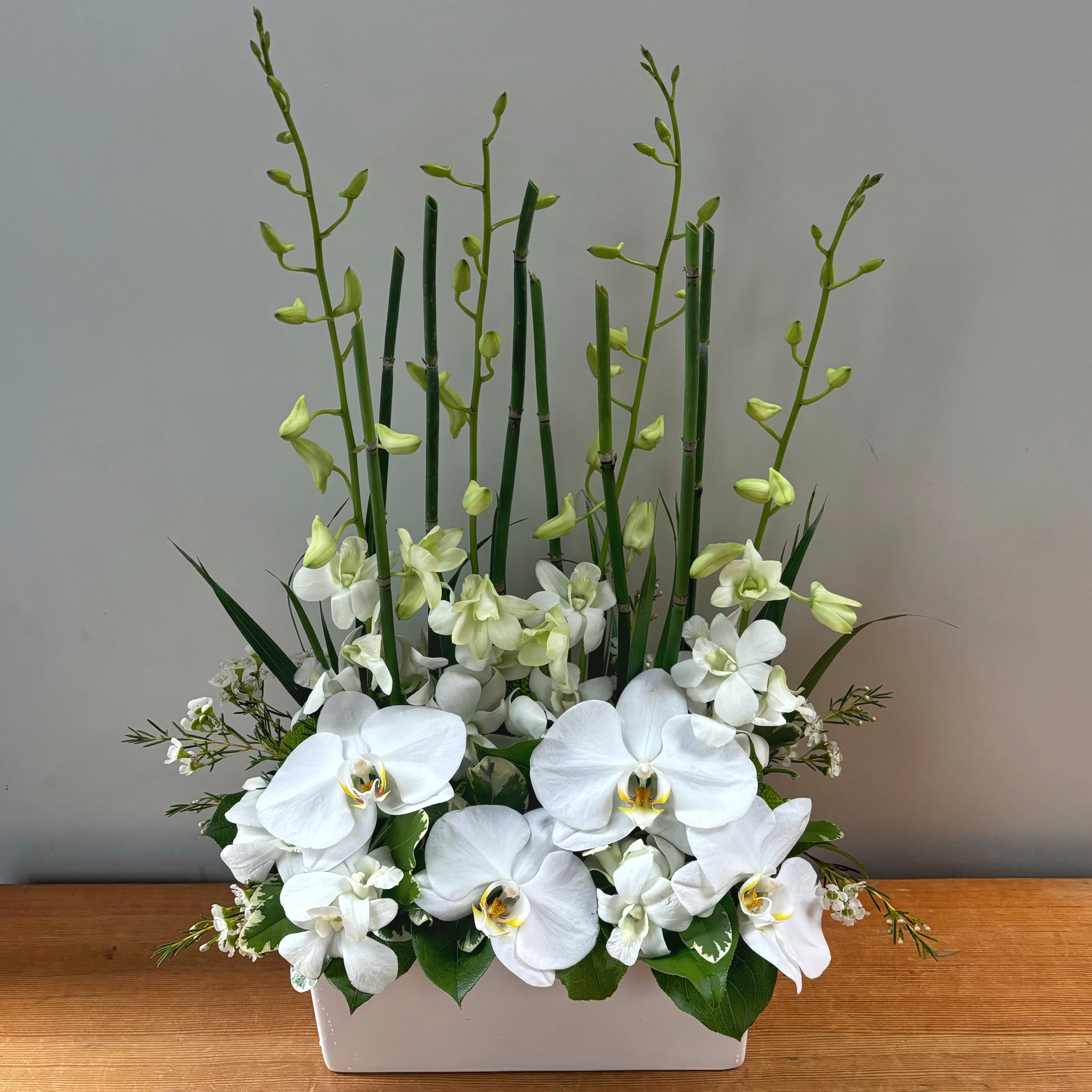 Florist V8Z 7Z7 | V8Z 7Z7 Flower Delivery by Poppies Floral Art