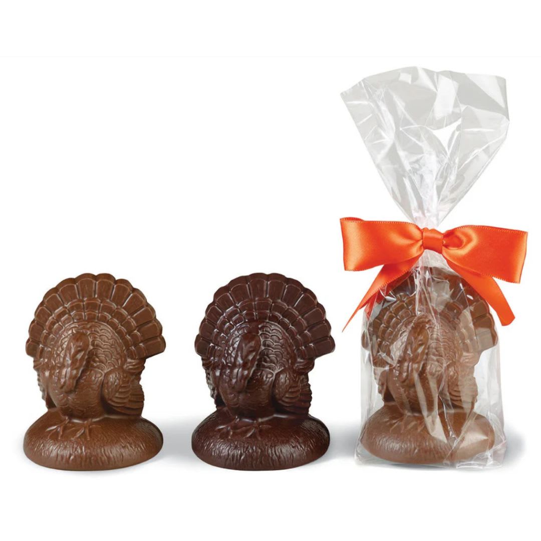 Bissinger's Milk Chocolate Turkey Flower Delivery West Chester PA