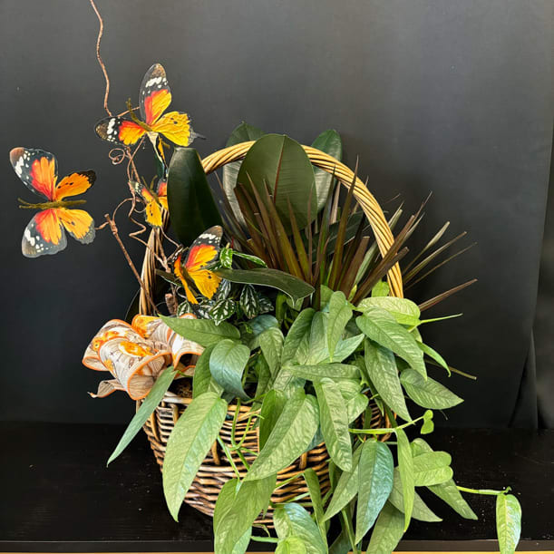 planter basket