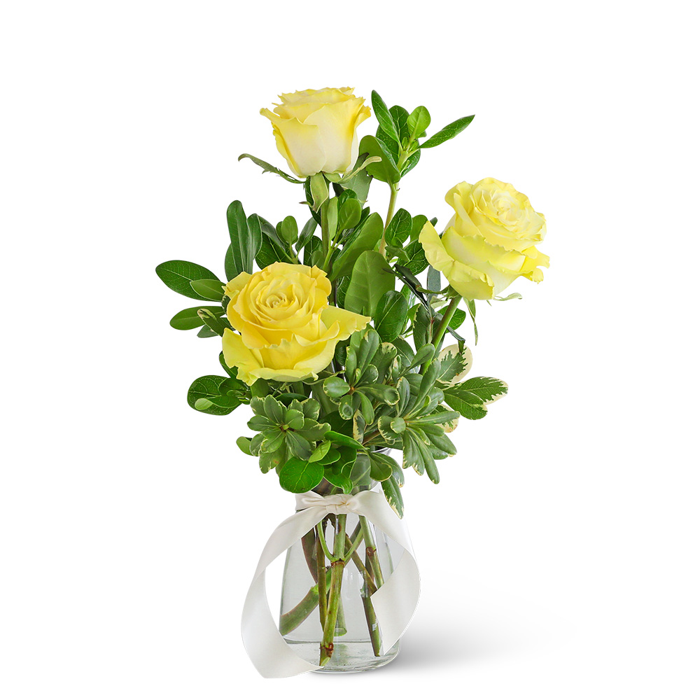 Three Yellow Roses, image size:1000x1000
