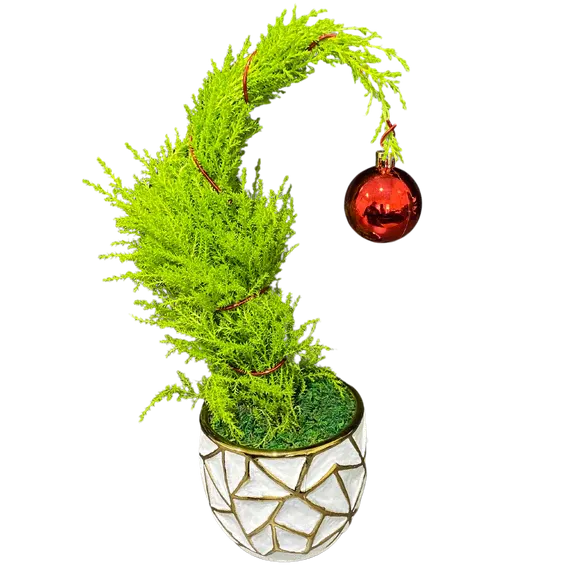 It's A Grinch of a Holiday!