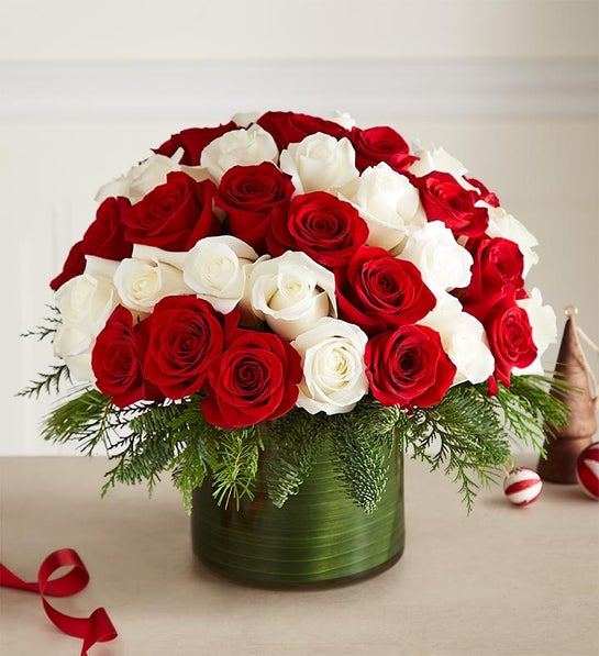 Candy Cane Swirl™ Roses | 1800Flowers.com