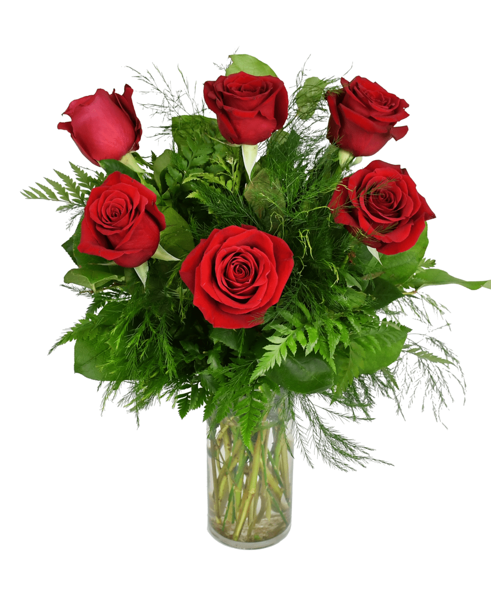 Half Dozen Red Roses