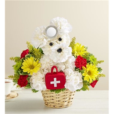 Cure-All Doggie™