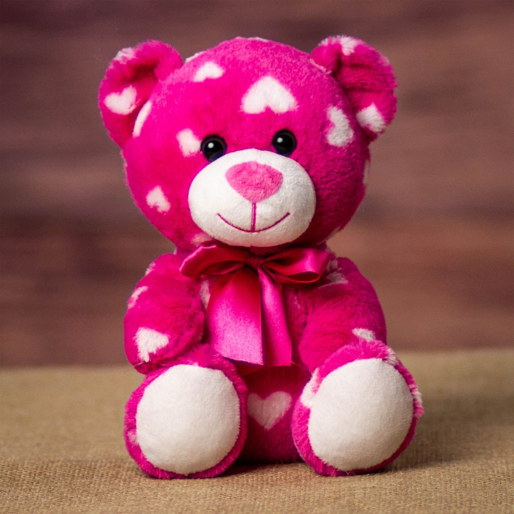 CHENILLE BEAR PR2070W : Shawnee, KS Florist : Same Day Flower
