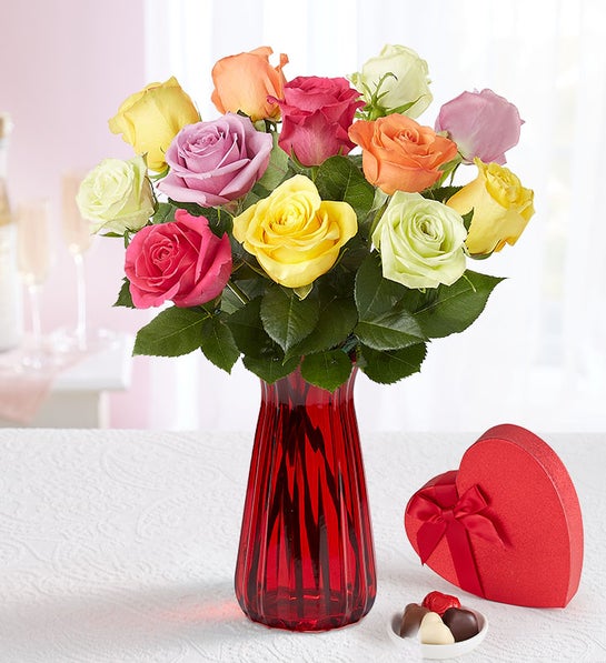 ☆Roses～　 Carlotta! - Pink - - Schreurs Roses