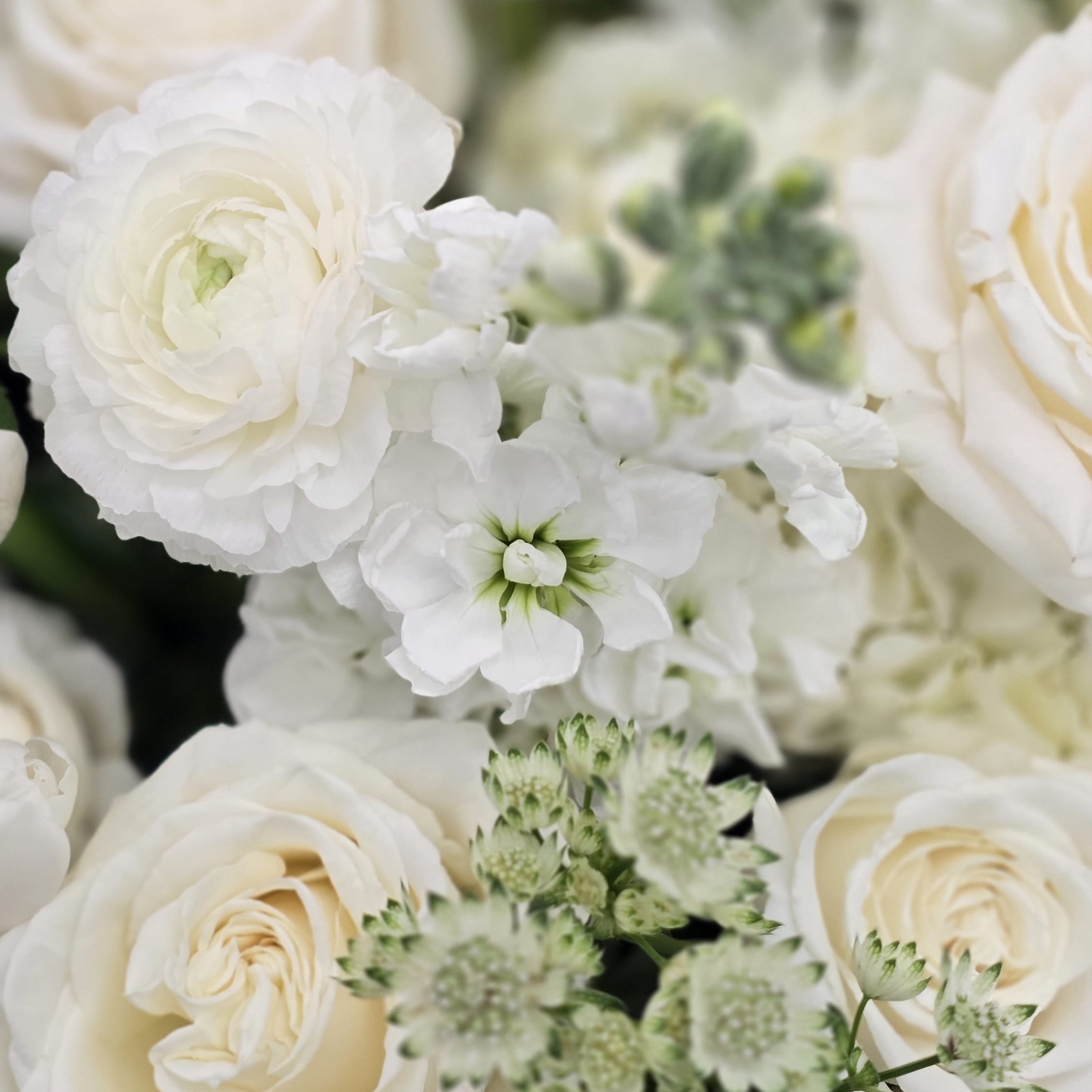 white mix Flower Delivery Norwood NJ - K. Flowers & Design