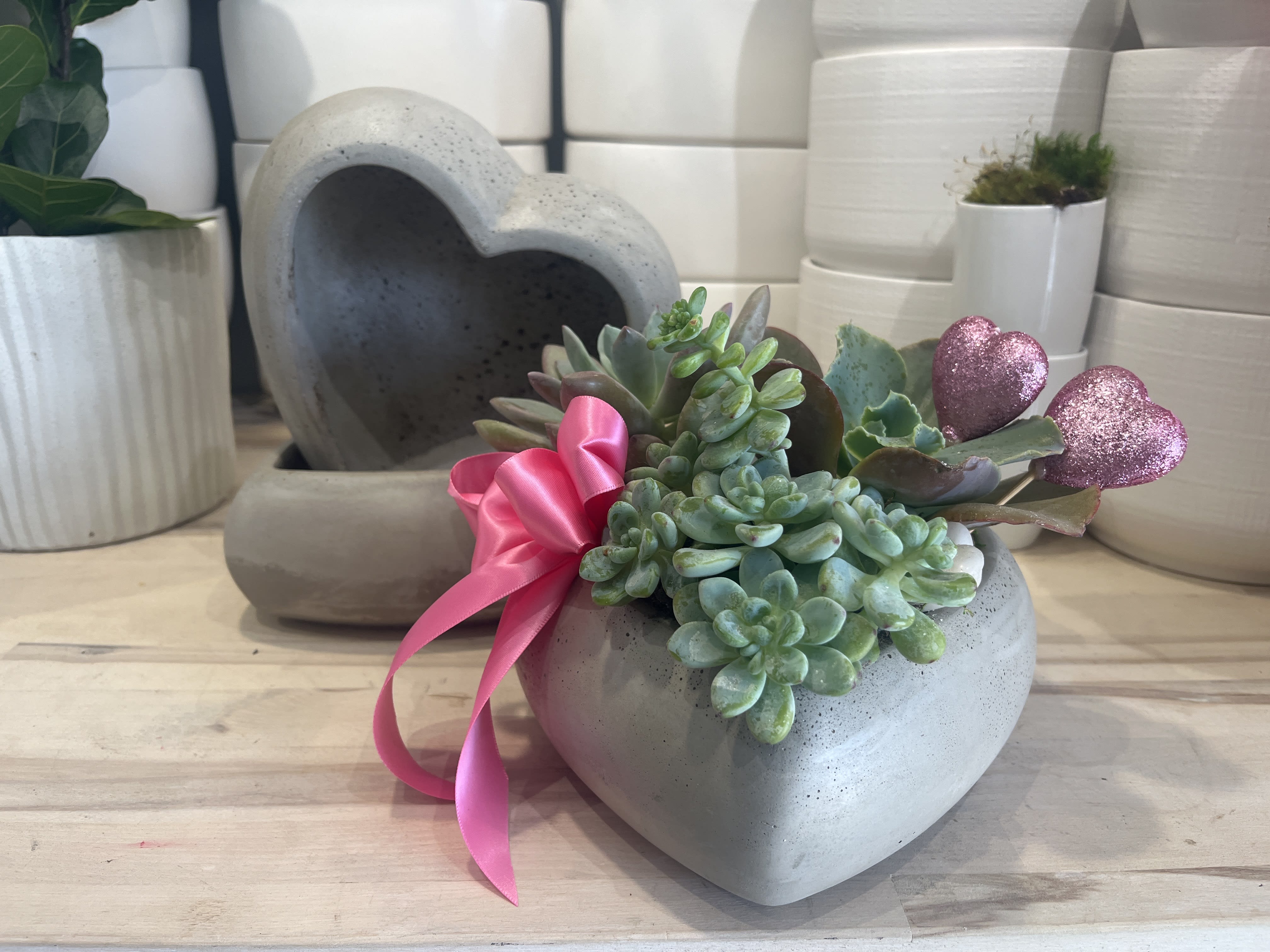 Heart Succulent Planter