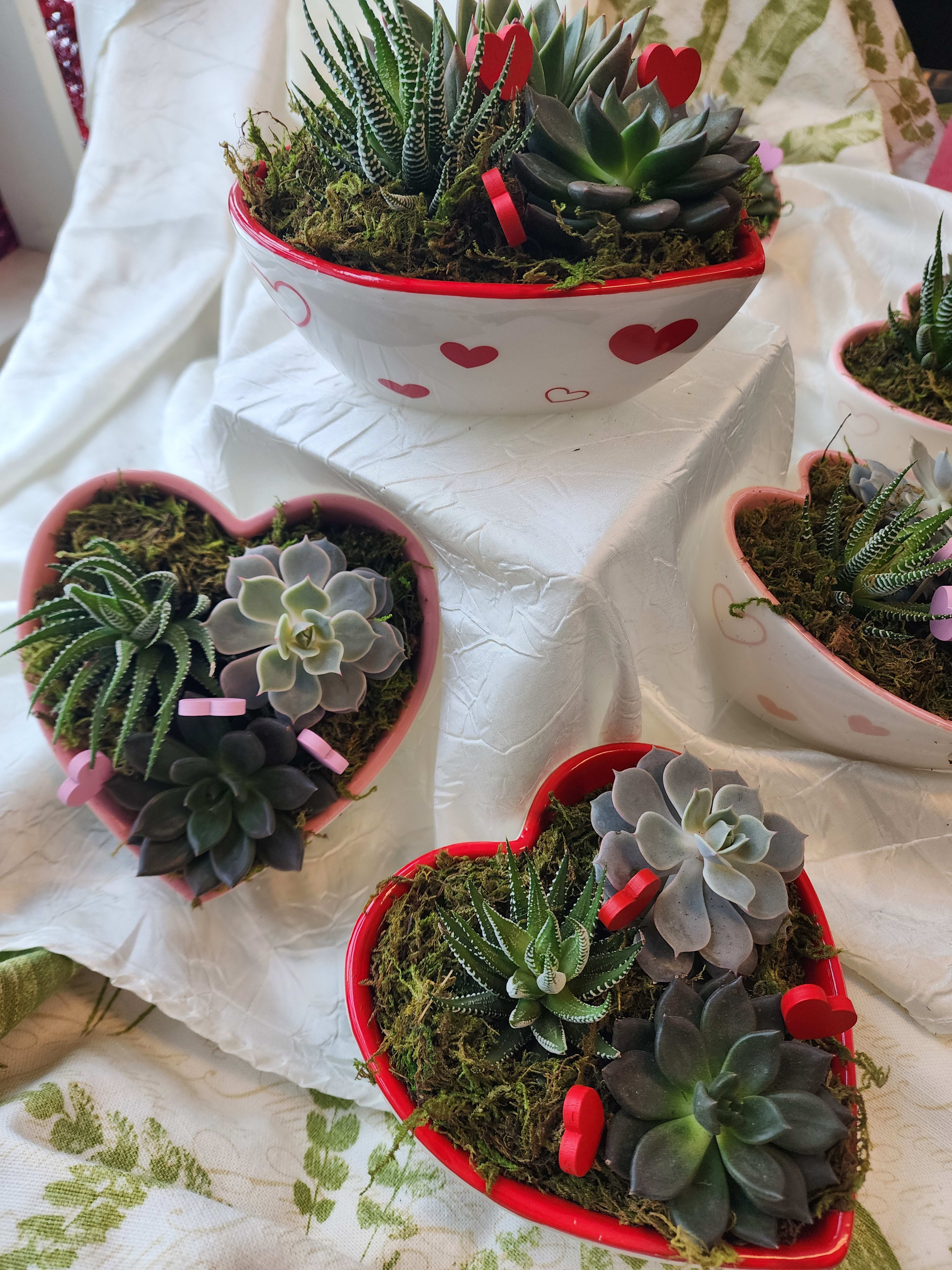 Succulent Heart Garden 2025 Flower Delivery East Lansing MI - Petra Flower  Co.