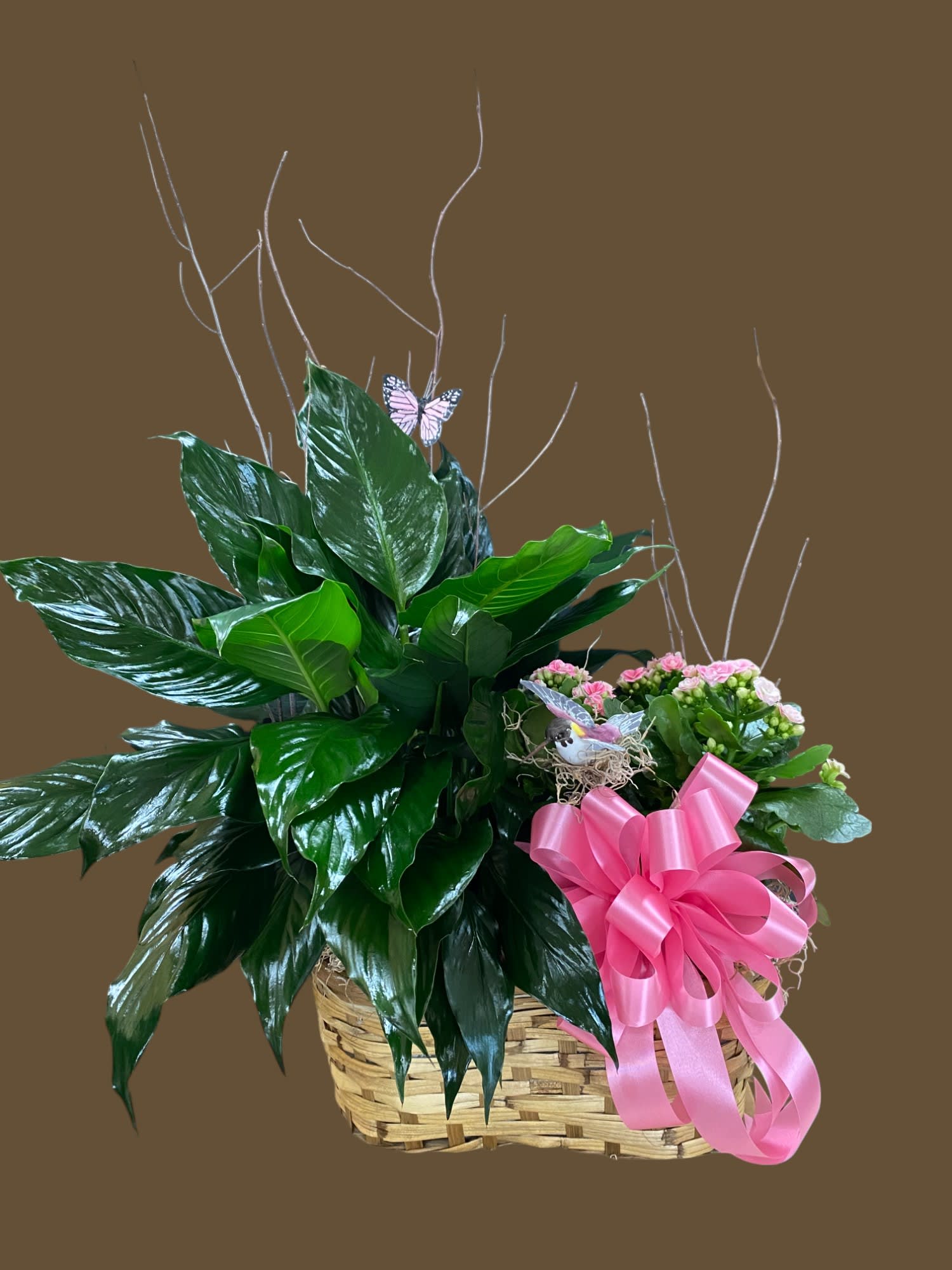 Sympathy / Plants Flower Delivery Baytown TX - Bee Hive Florist