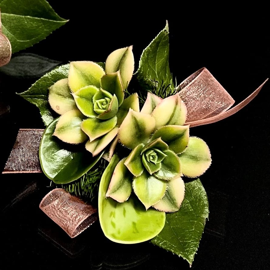 Florist 55485 | 55485 Flower Delivery by Pletschers Greenhouses