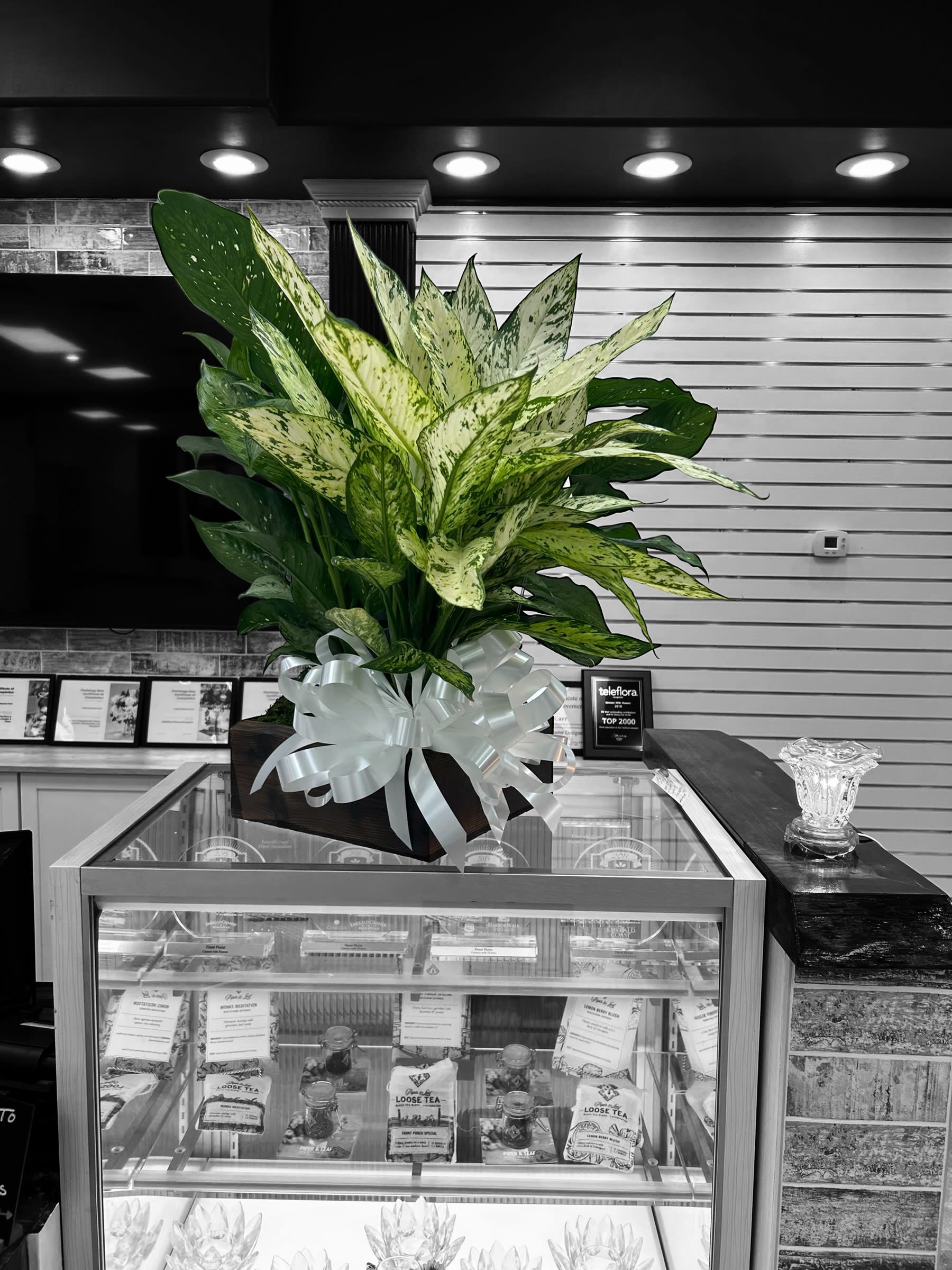 Everlasting Peace Flower Delivery Hastings MN - Connect With Flowers