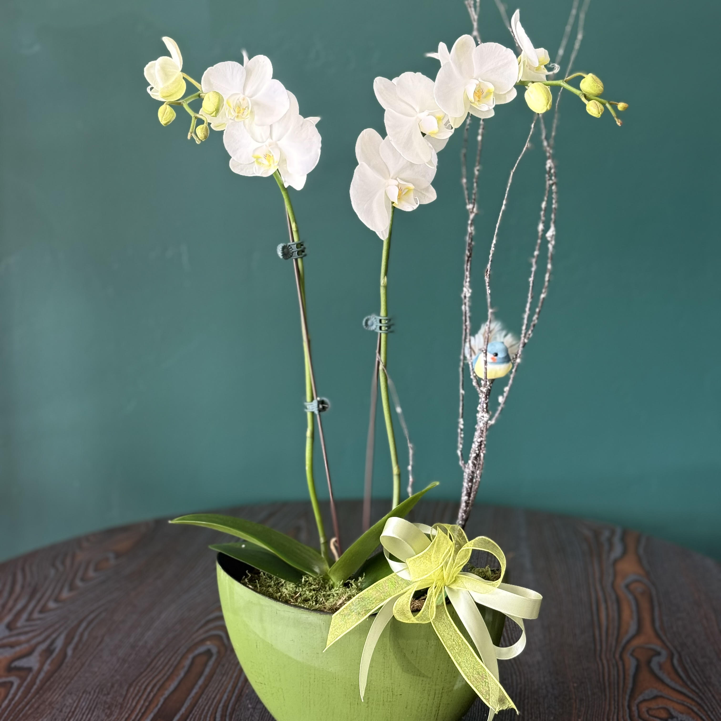 Florist 85318 | 85318 Flower Delivery by Elite Flowers & Gifts Florist