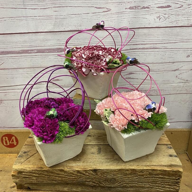 Flower Delivery to OSF Saint Anthony's Health Center, Edwardsville