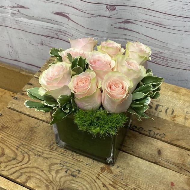 Modern Love Roses in Cube Vase in Edwardsville, IL | Goff and