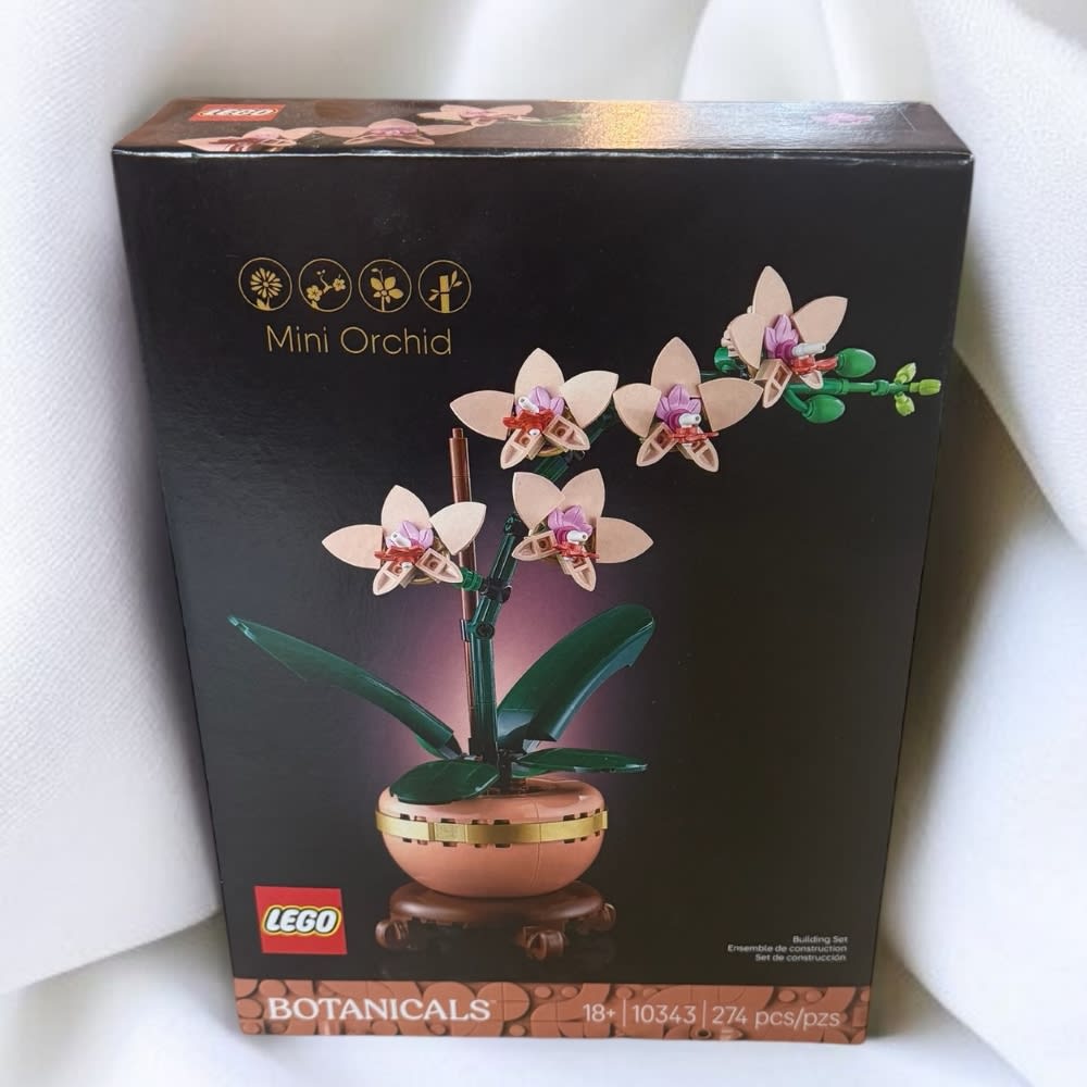 Mini Orchid LEGO Set in Highland, IL | The Greenhouse of Highland