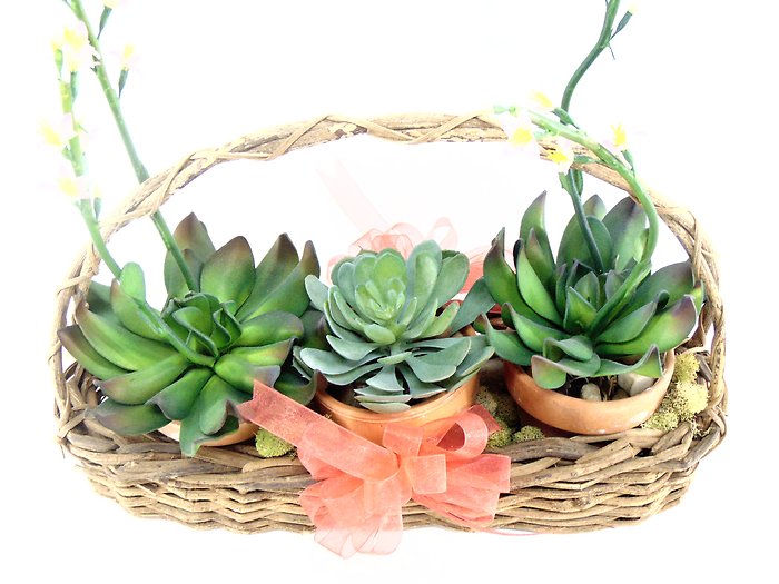 Faux succulent pots in garden basket. arranged by a florist in Avon, NY :  Avon Floral World, Gift Shoppe, & Flower Delivery