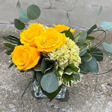 Hallsville Florist | Hallsville, Missouri Flower Delivery by