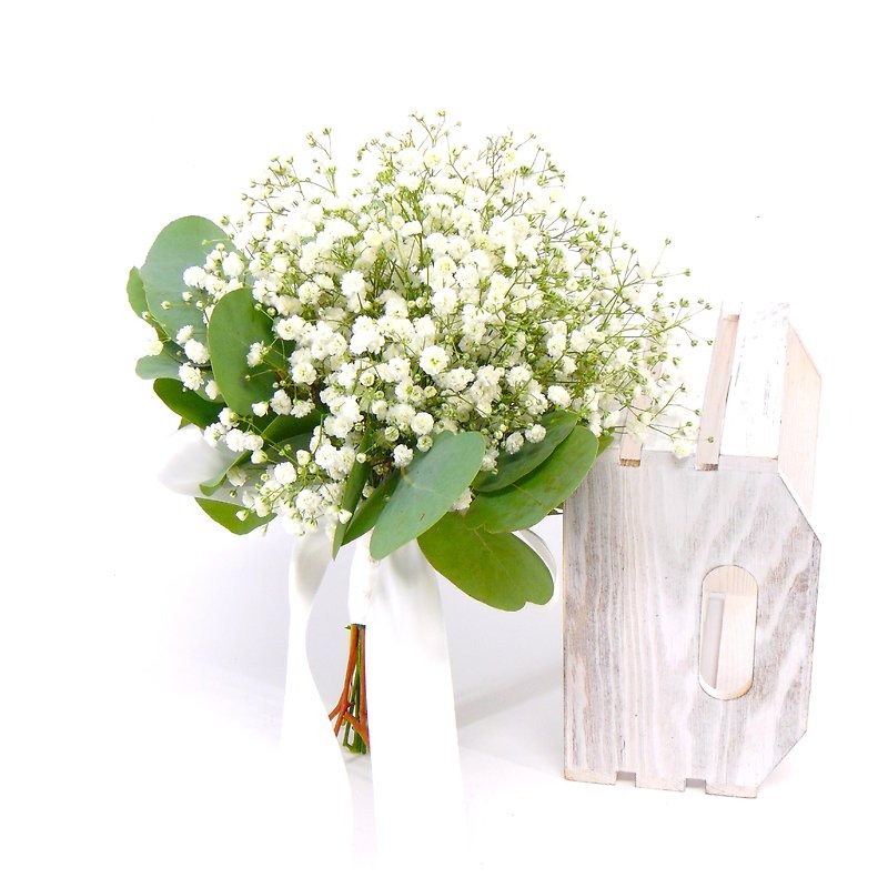 Baby's Breath