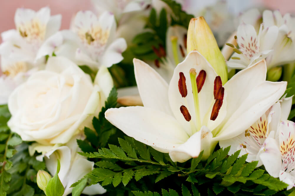 Lilies flower delivery pearland tx