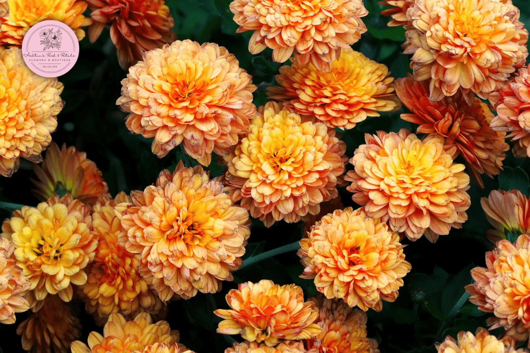 Which Flower Symbolizes Farewell