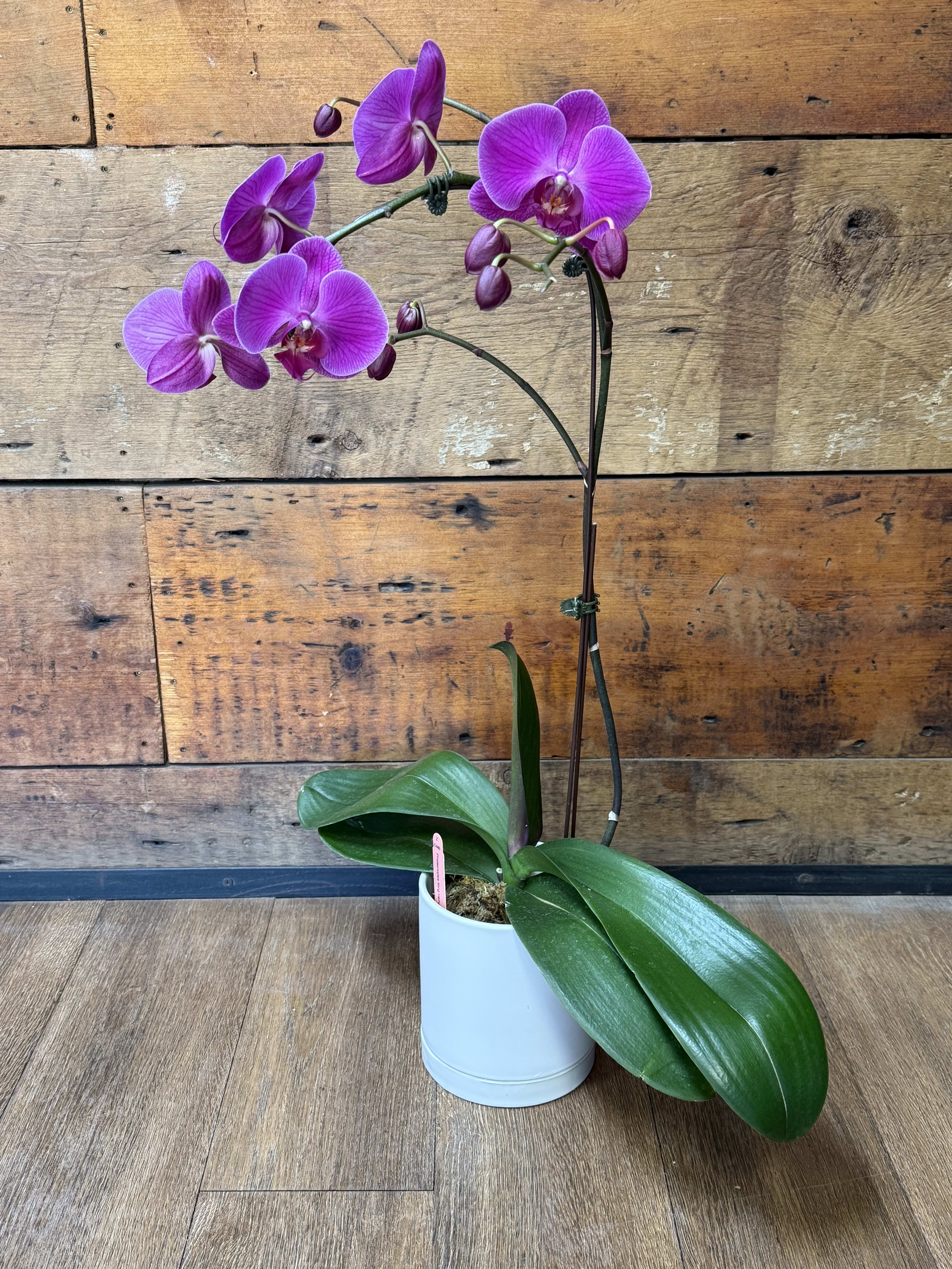 Florist 60628 | 60628 Flower Delivery by Niko's Flower Designs Florist
