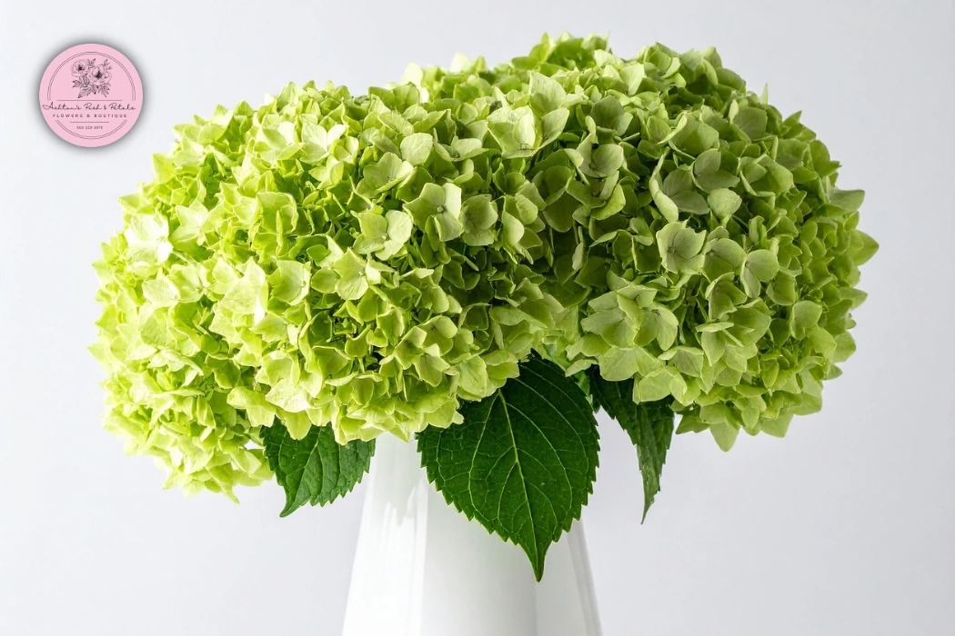 Popular Green Flowers