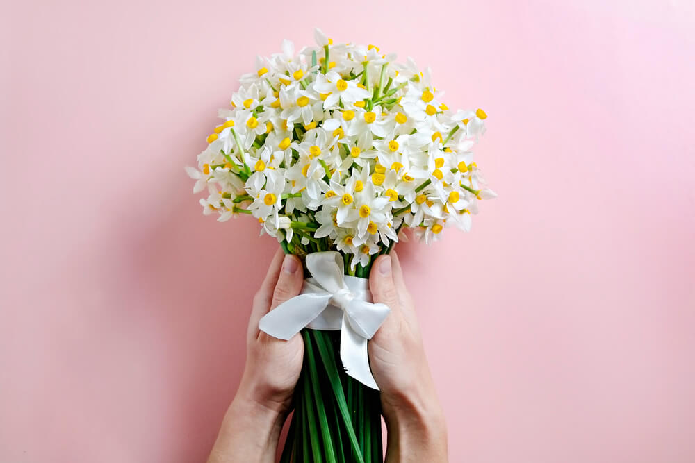 December birth flower - Narcissus