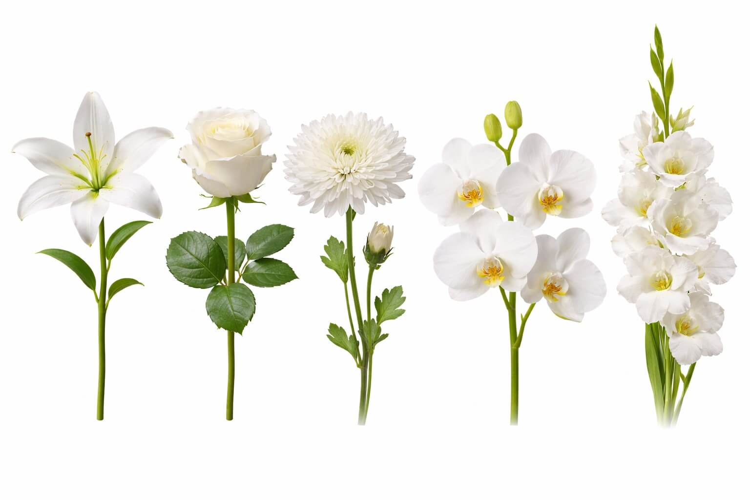 Sympathy flowers in NJ