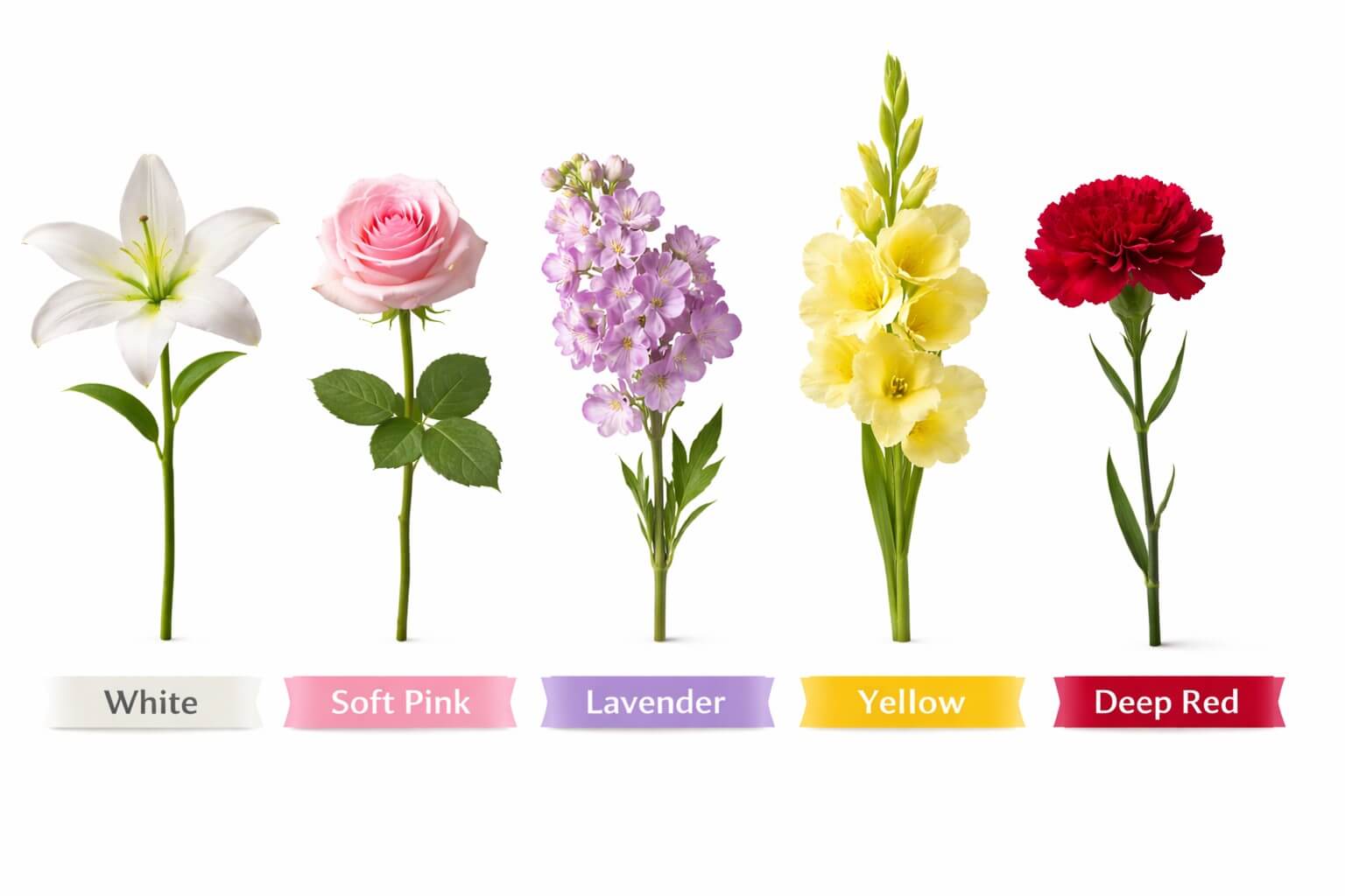 What color should sympathy flowers be?