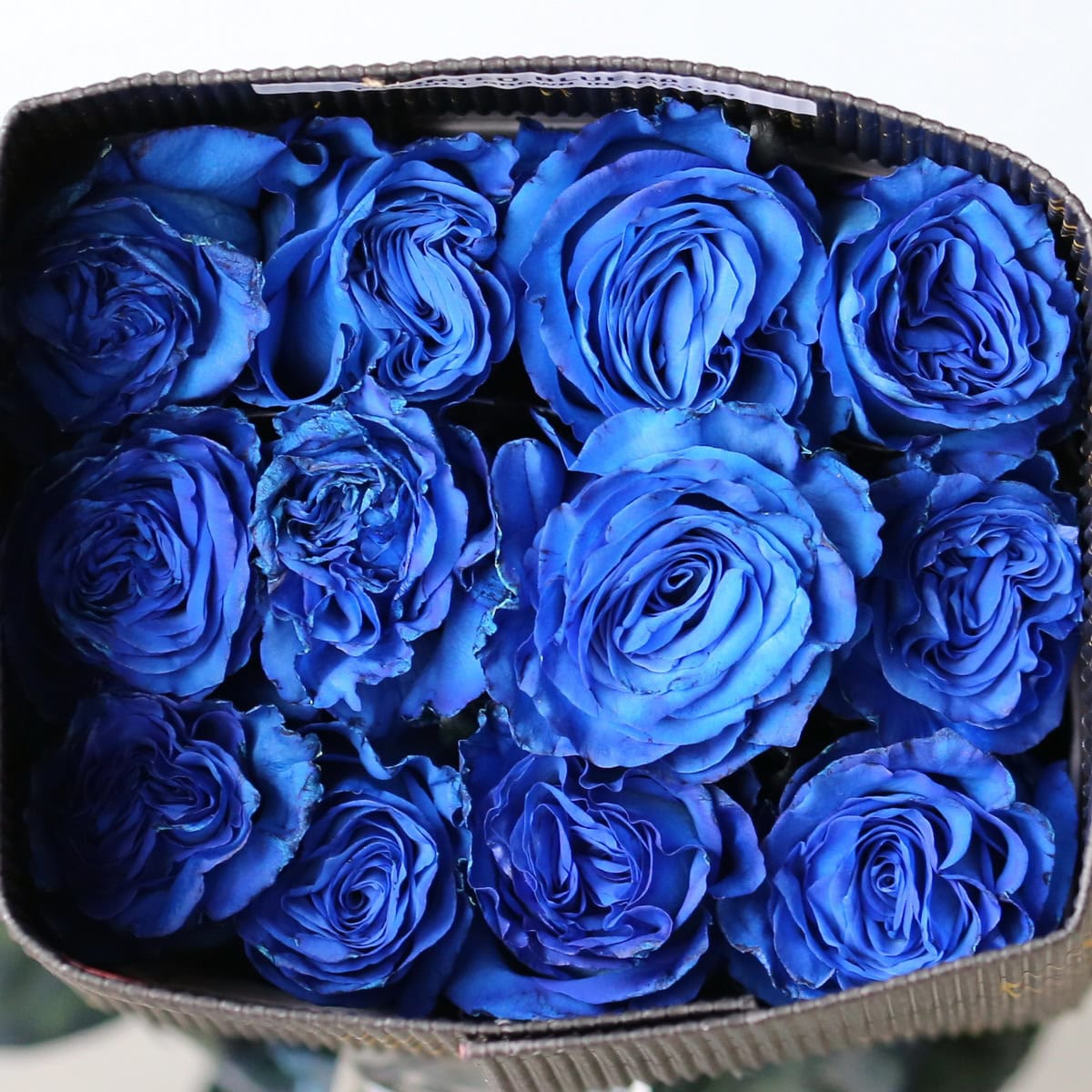 Blue Roses Flower Delivery Haines City FL - Haines City Flowers Wholesale