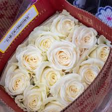 White Roses Playa Blanca Flower Delivery Haines City FL - Haines City ...