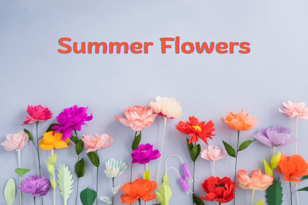 summer flowers delivery Evanston