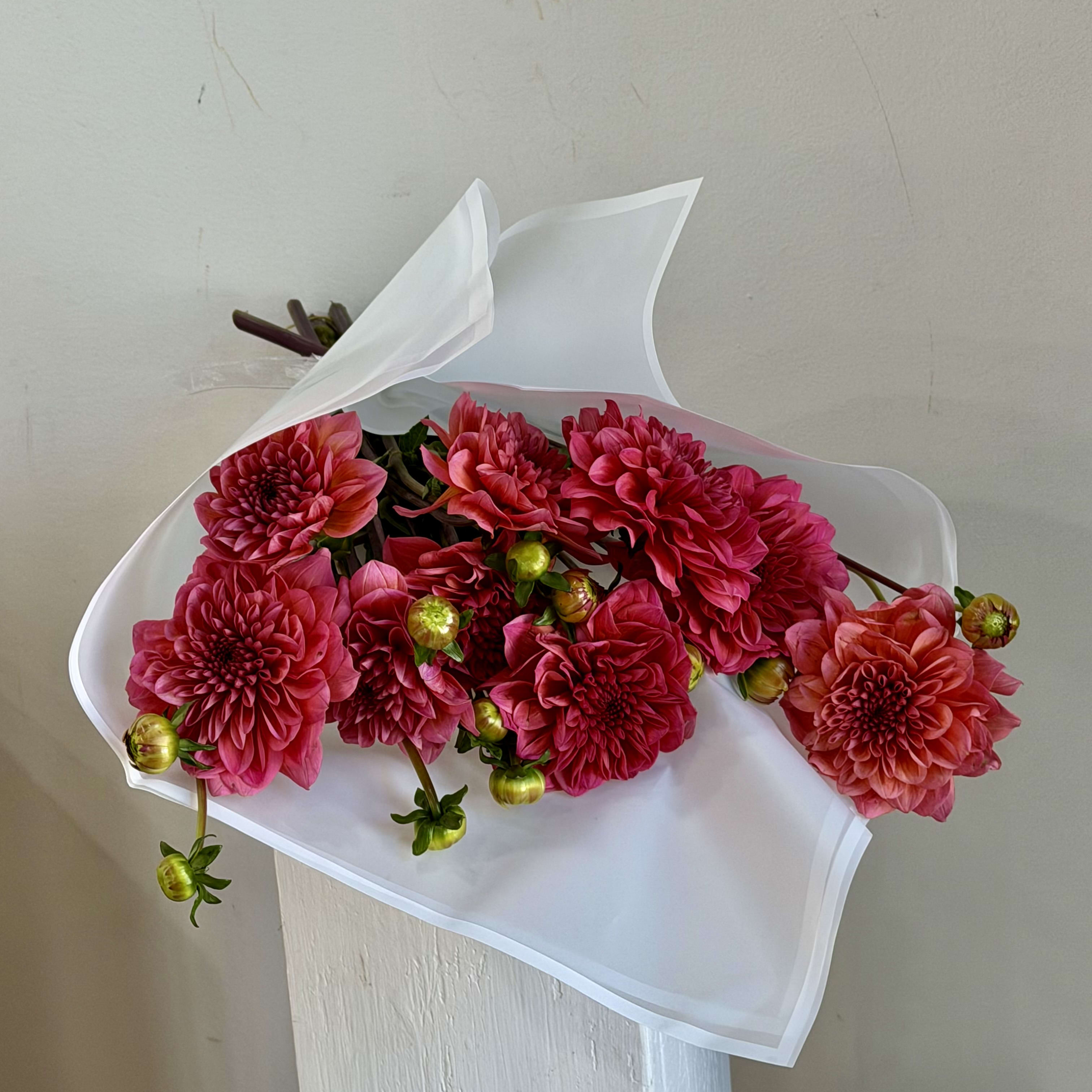 Florist 20036 | 20036 Flower Delivery by Little Shop of Flowers