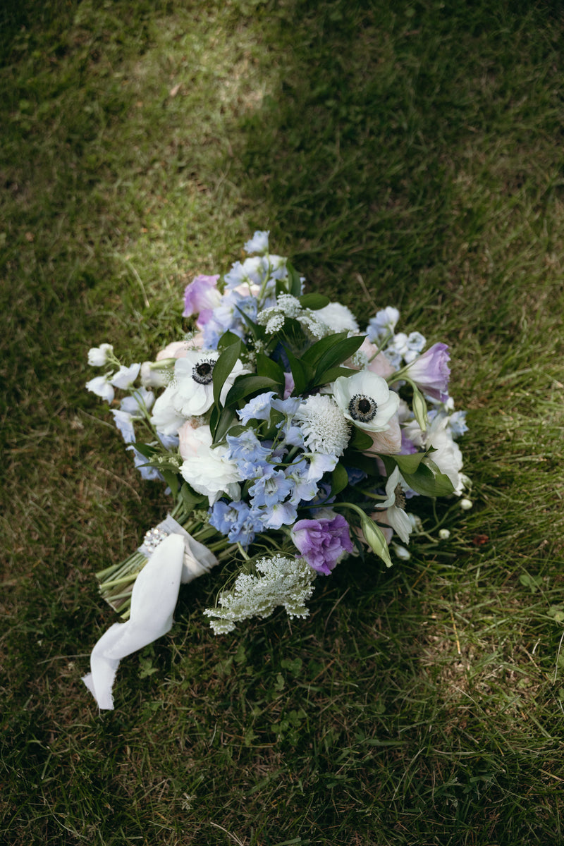 Magnolia floral gallery image