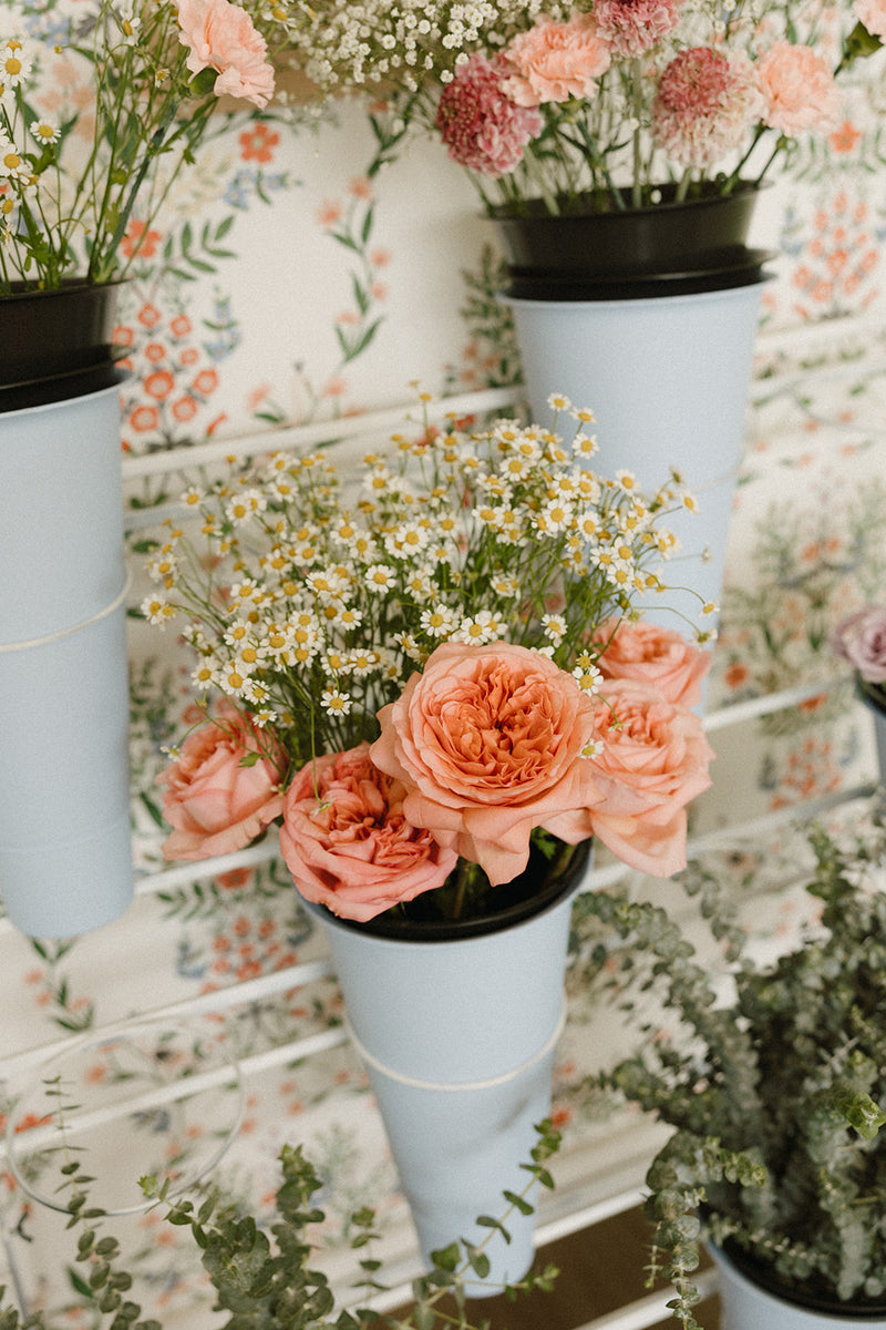 Magnolia floral gallery image