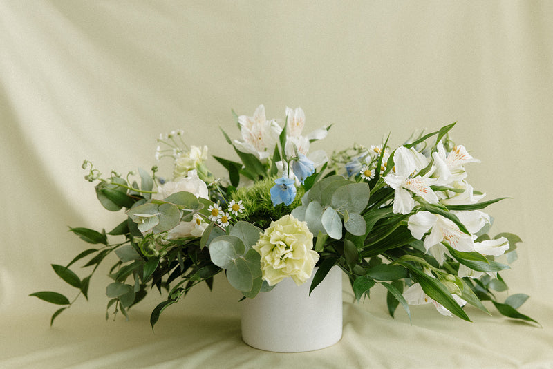 Magnolia floral gallery image