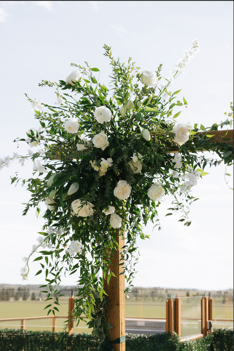 Magnolia floral gallery image