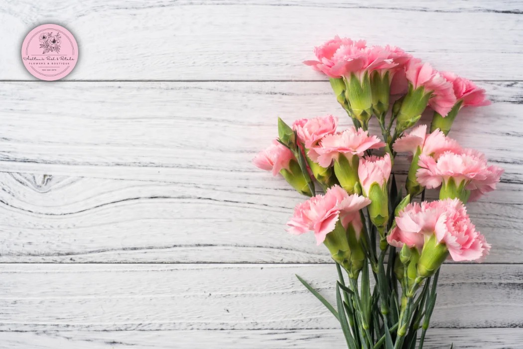 Carnations