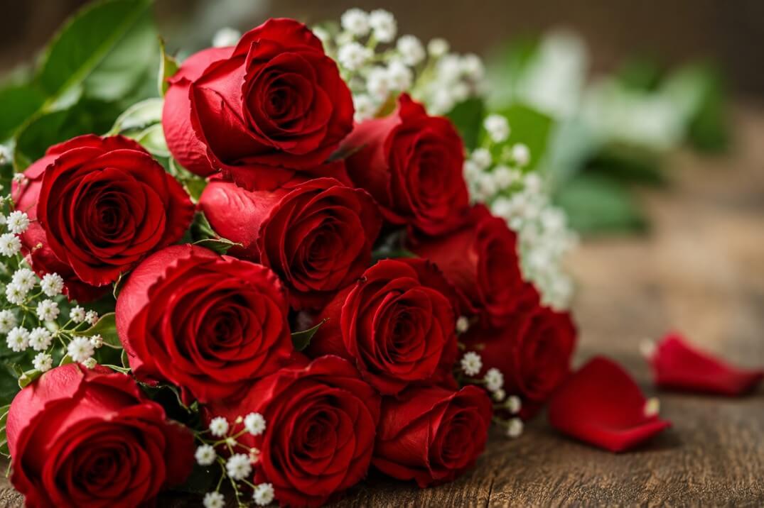 rose color meaning - A premium romantic bouquet of deep red roses and fresh foliage by Dibiaso's Florist in Wilmington, DE.